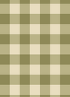 Behang Atelier Chien Gingham Ruiten Groen